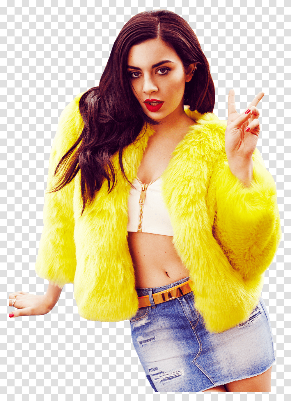 Charli Xcx Image Charli Xcx, Person, Fur, Sleeve Transparent Png