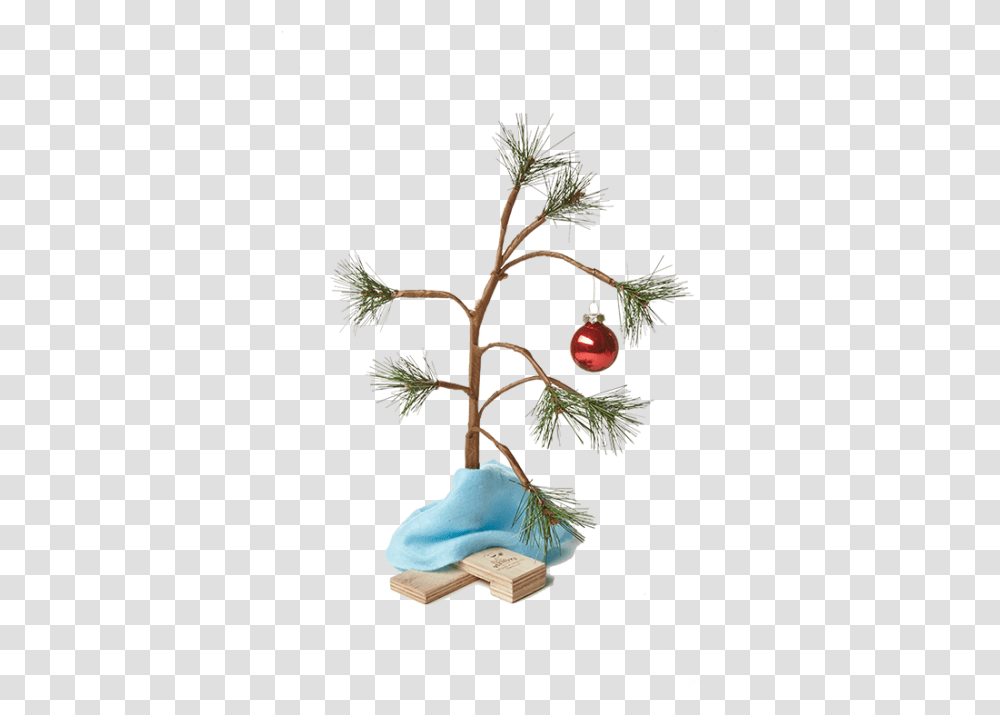 Charlie Brown Christmas Tree Charlie Brown Christmas Tree Background, Plant, Fruit, Food, Cherry Transparent Png