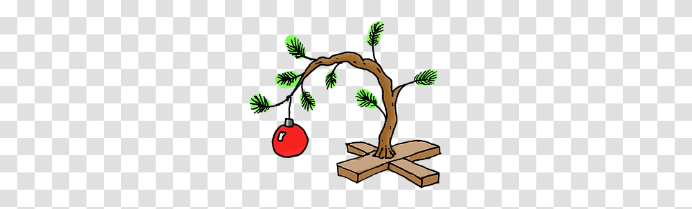 Charlie Brown Christmas Tree Image, Plant, Conifer, Seed, Grain Transparent Png
