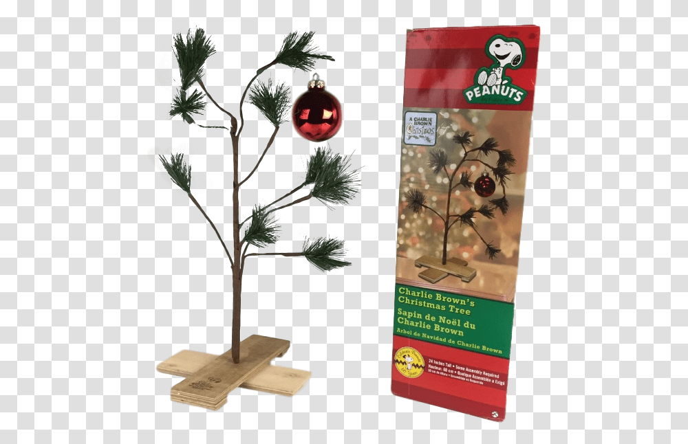 Charlie Brown Christmas Tree, Plant, Painting, Flower Transparent Png
