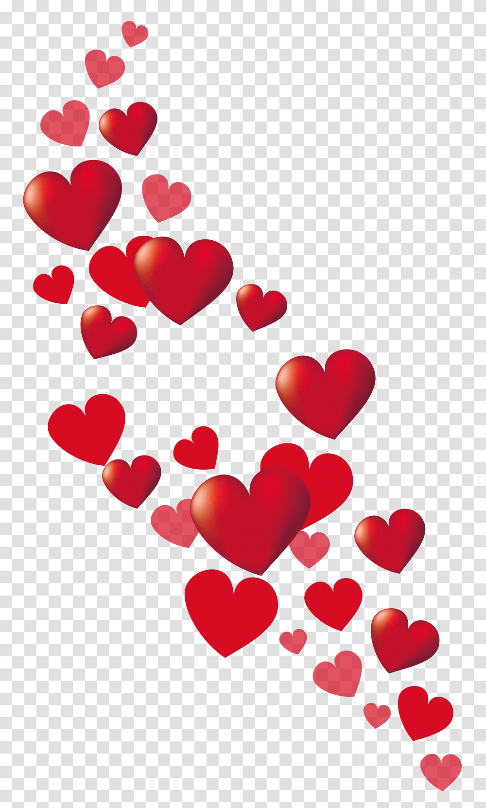 Charlie Heart Valentine Heart, Petal, Flower, Plant, Blossom Transparent Png