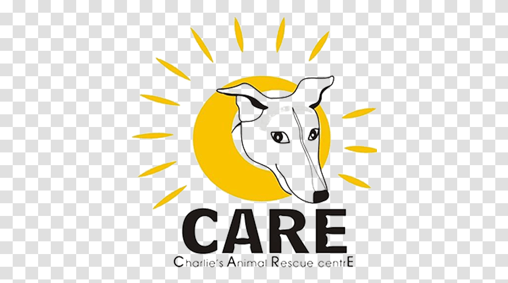 Charlies Animal Rescue Centre, Mammal, Goat, Paper, Poster Transparent Png