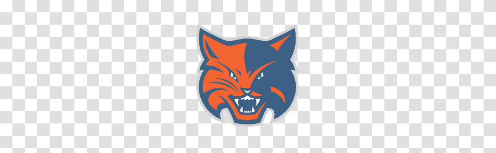 Charlotte Bobcats Alternate Logo Sports Logo History, Trademark, Badge, Batman Logo Transparent Png