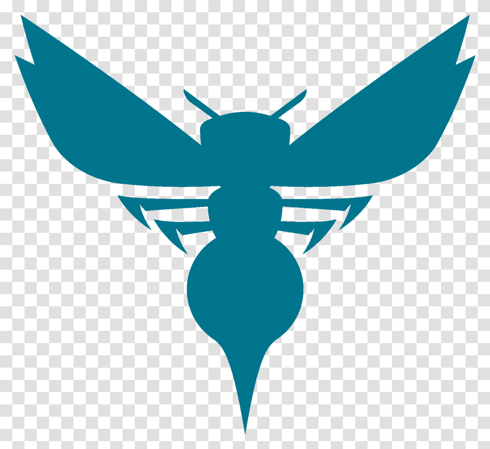 Charlotte Bobcats Hornets Logo, Wasp, Bee, Insect, Invertebrate Transparent Png
