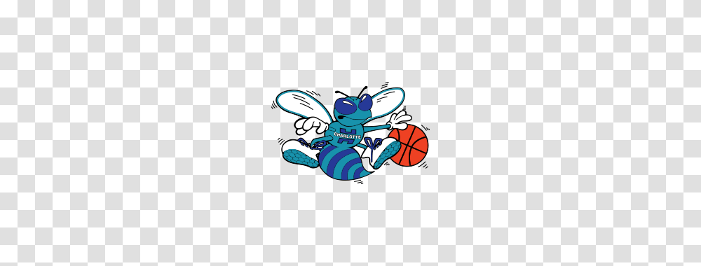 Charlotte Hornets Classic Jersey, Jay, Bird, Animal, Outdoors Transparent Png