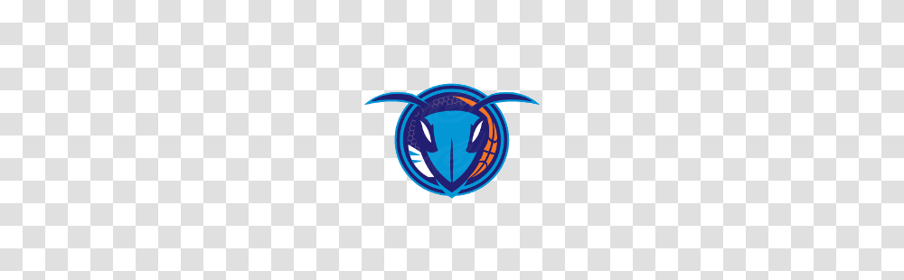 Charlotte Hornets Concept Logo Sports Logo History, Lamp, Trademark, Light Transparent Png