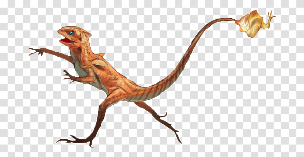 Charmander Charmander Realistic, Dinosaur, Reptile, Animal, T-Rex Transparent Png
