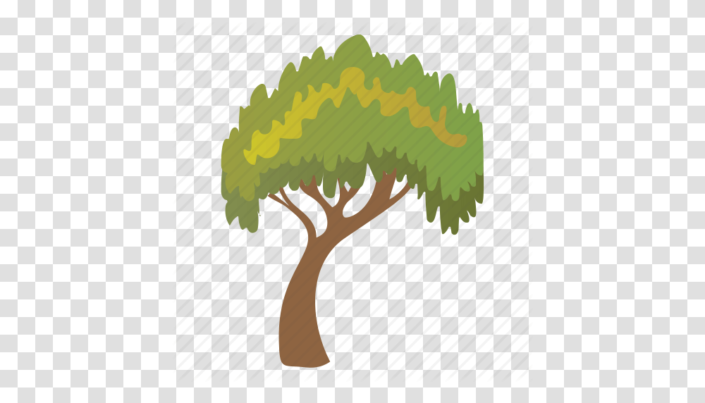 Charter Oak Tree Deciduous Tree Evergreen Forestry Shrub Tree Icon, Plant, Vegetation, Bush Transparent Png