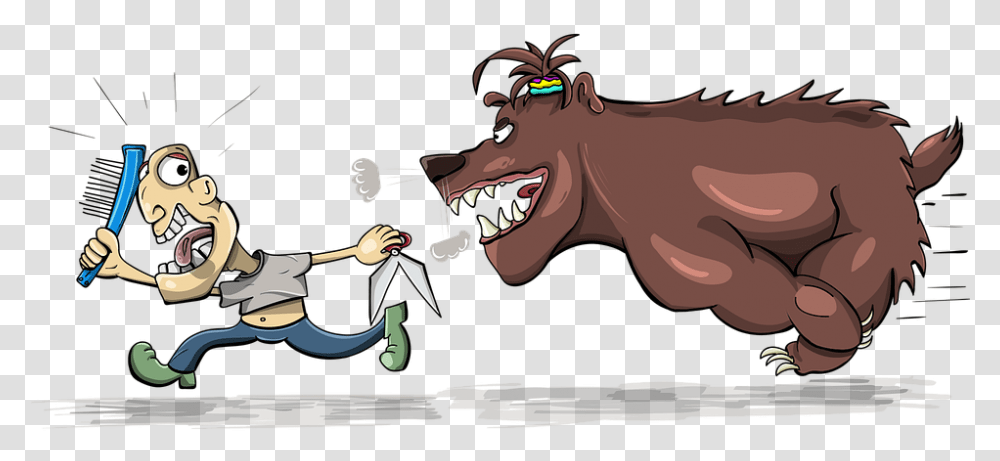 Chase Bear Hairdresser Escape Scissors Comb Chase Escape, Person, Animal, Face, Mammal Transparent Png