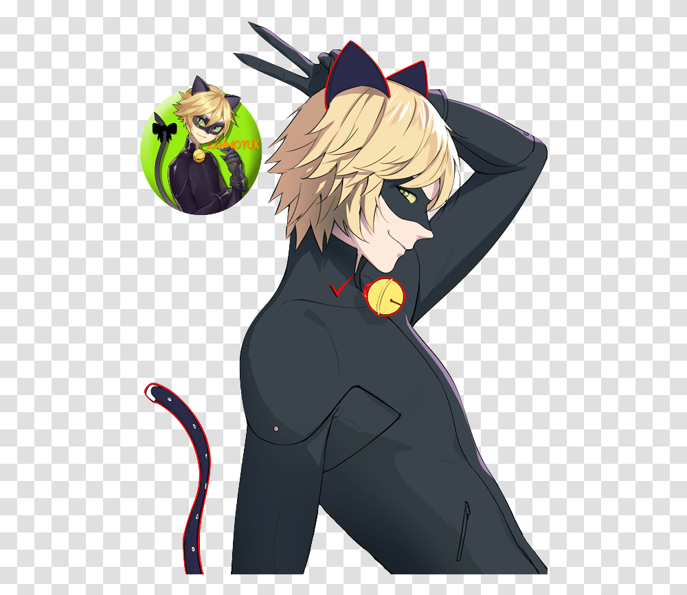 Chat Noir Anime, Comics, Book, Manga, Person Transparent Png