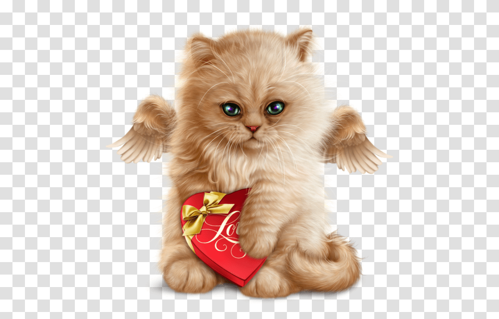 Chats, Pet, Animal, Kitten, Cat Transparent Png