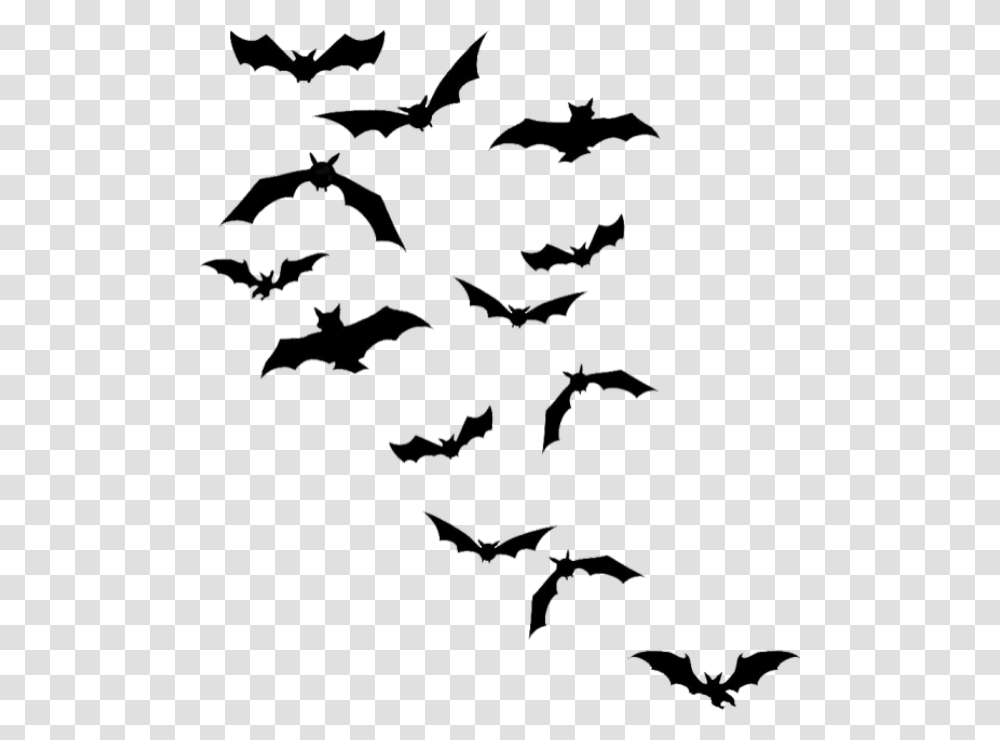 Chauves Souris Tube Halloween Bat Silhouettes, Nature, Outdoors, Sea, Water Transparent Png
