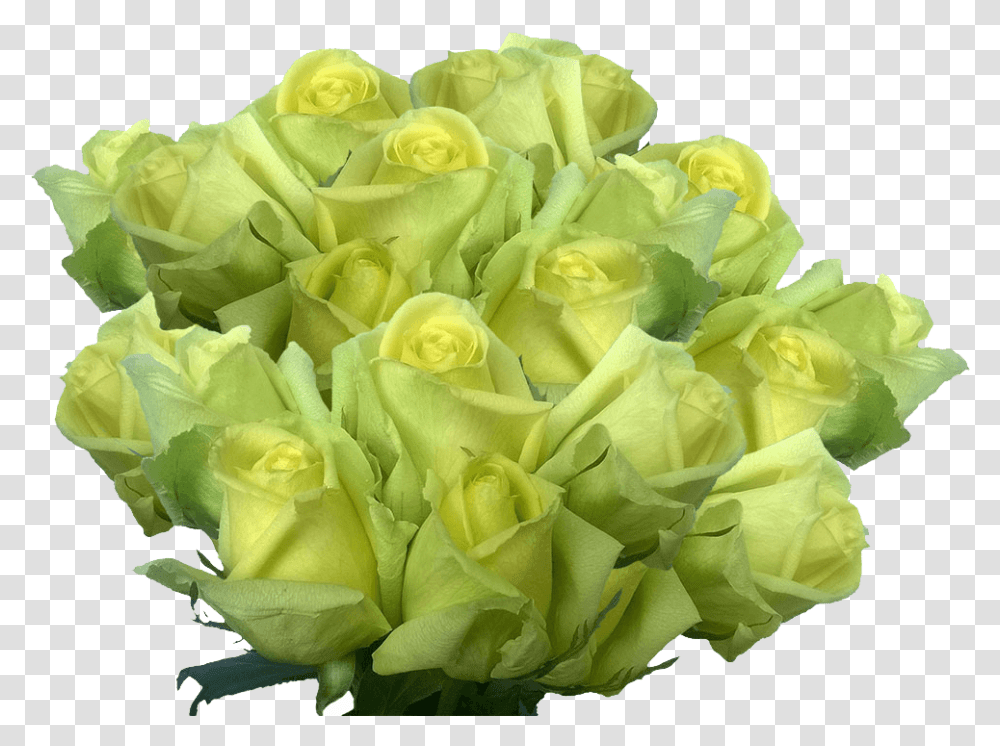 Cheap Light Green Roses Huge Rose Flowers Bouquet Pale, Plant, Blossom, Flower Bouquet, Flower Arrangement Transparent Png