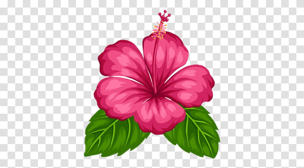 Check Out The Sticker Made, Plant, Hibiscus, Flower, Blossom Transparent Png
