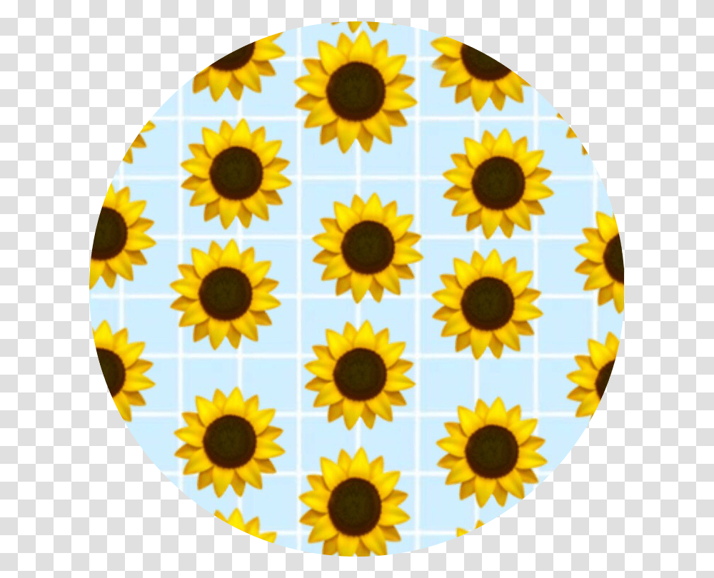 Checkerboard Aesthetic Pattern Background Yellow Blue And Yellow Aesthetic, Plant, Daisy, Flower, Daisies Transparent Png