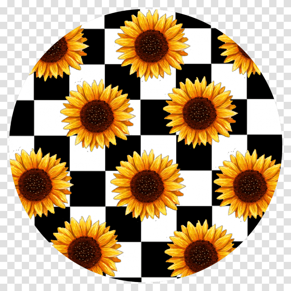 Checkerboard Background With Sunflowers Aesthetic Sunflower, Plant, Blossom, Graphics, Art Transparent Png