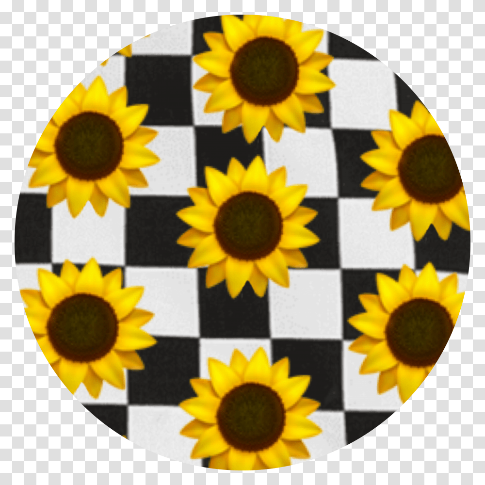 Checkerboard Emoji Sunflowers Background Aesthetic Transparent Png
