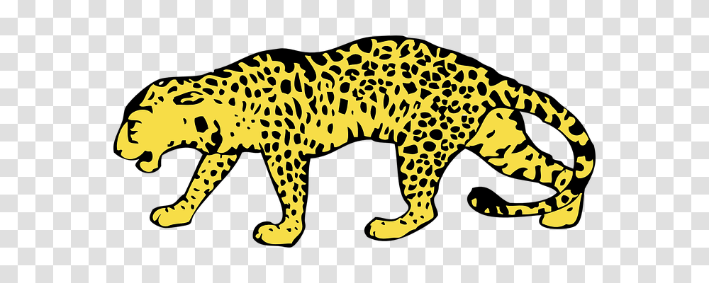 Cheetah Animals, Wildlife, Mammal, Cat Transparent Png