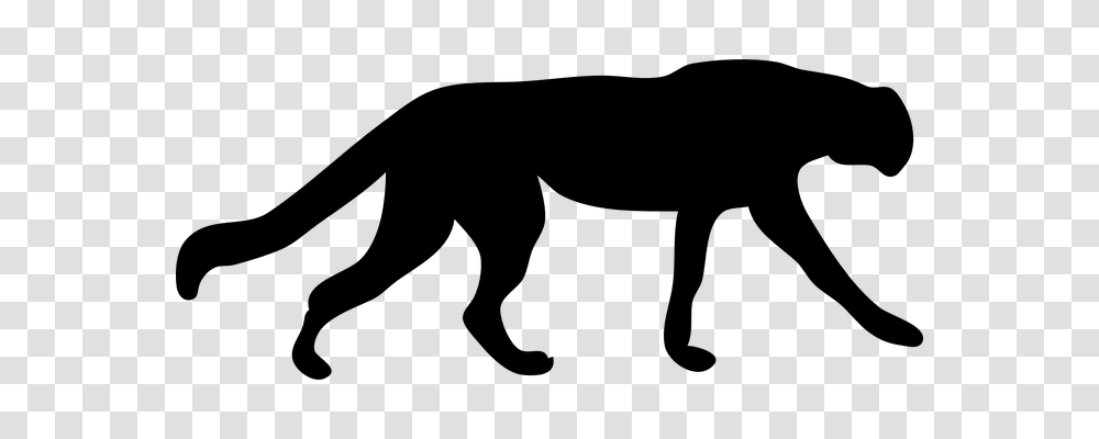 Cheetah Nature, Gray, World Of Warcraft Transparent Png