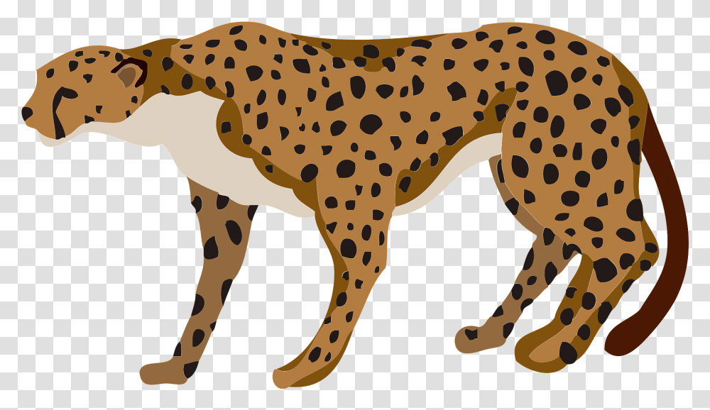 Cheetah Animal Clipart Free Download, Wildlife, Mammal Transparent Png