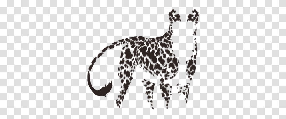 Cheetah, Animal, Mammal, Wildlife, Lion Transparent Png