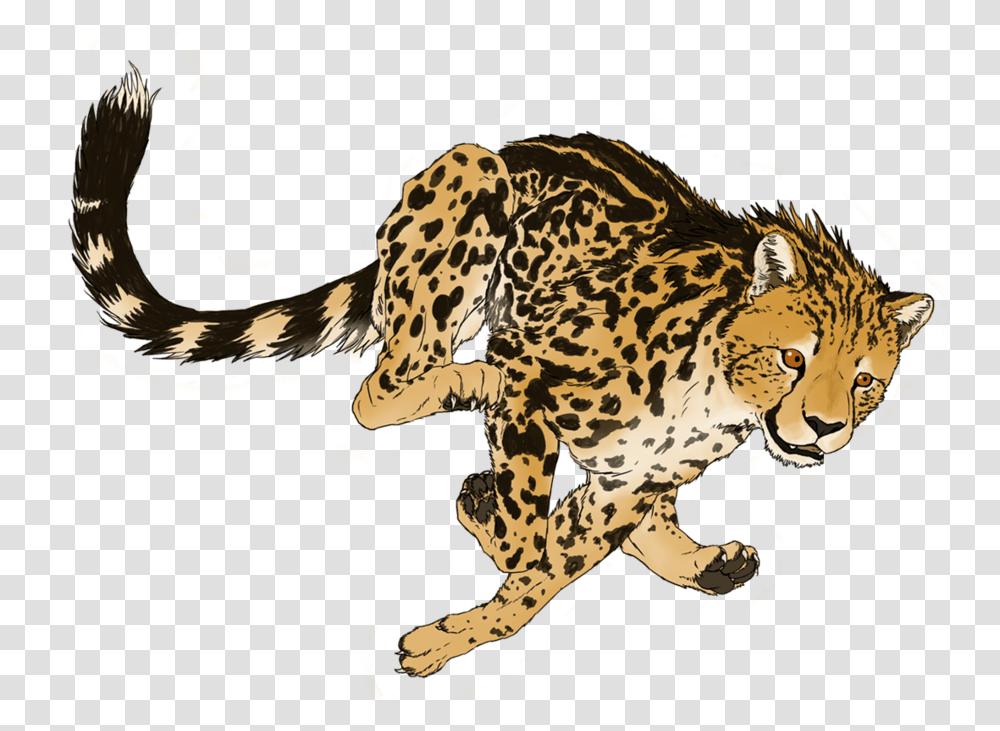 Cheetah Art, Wildlife, Animal, Mammal, Panther Transparent Png