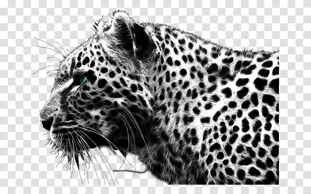 Cheetah Black Cheetah, Panther, Wildlife, Mammal, Animal Transparent Png