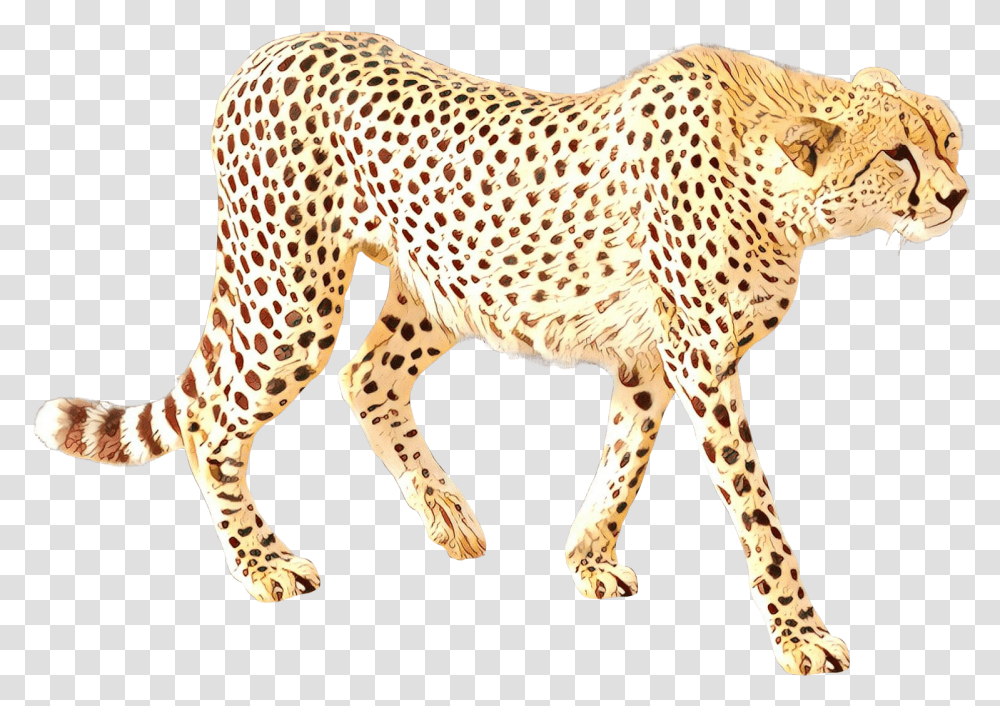 Cheetah Clipart Background Gepard Kreslen, Wildlife, Mammal, Animal, Giraffe Transparent Png