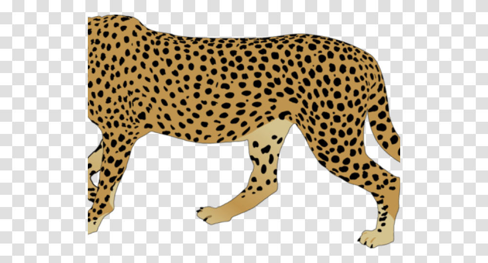 Cheetah Clipart, Wildlife, Mammal, Animal, Cat Transparent Png