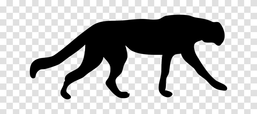 Cheetah Cougar Black Panther Jaguar Clip Art, Gray, World Of Warcraft Transparent Png