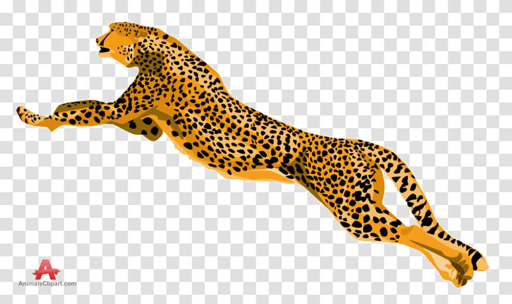 Cheetah Download Image Cheetah Clipart, Wildlife, Mammal, Animal, Panther Transparent Png