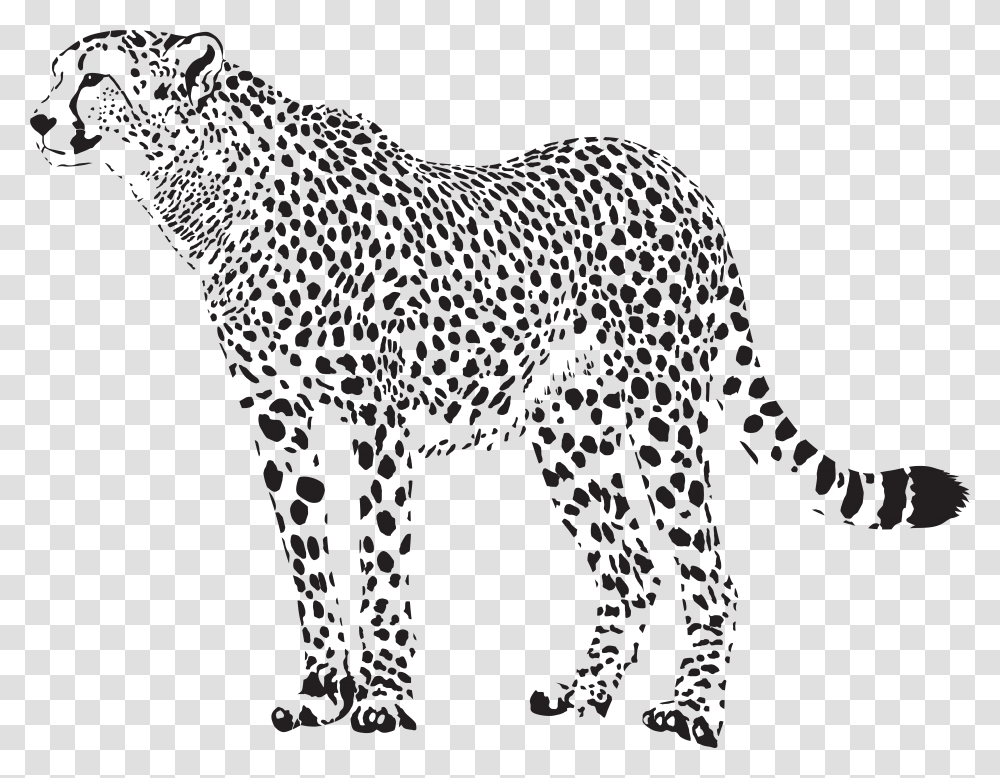 Cheetah Leopard Clip Art, Mammal, Animal, Wildlife, Panther Transparent Png