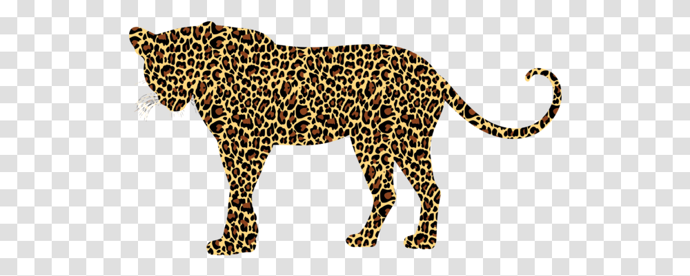 Cheetah Photo Background Images And Svg Cheetah Tiger Animal Print, Wildlife, Mammal, Panther, Leopard Transparent Png