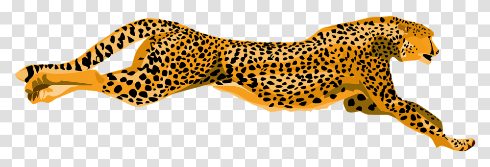 Cheetah Wildcat Fast Speed Spotted Color Wildlife Cheetahs Clipart, Panther, Mammal, Animal, Fish Transparent Png