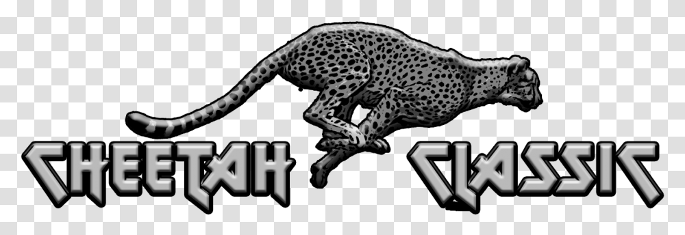 Cheetah, Wildlife, Mammal, Animal, Panther Transparent Png