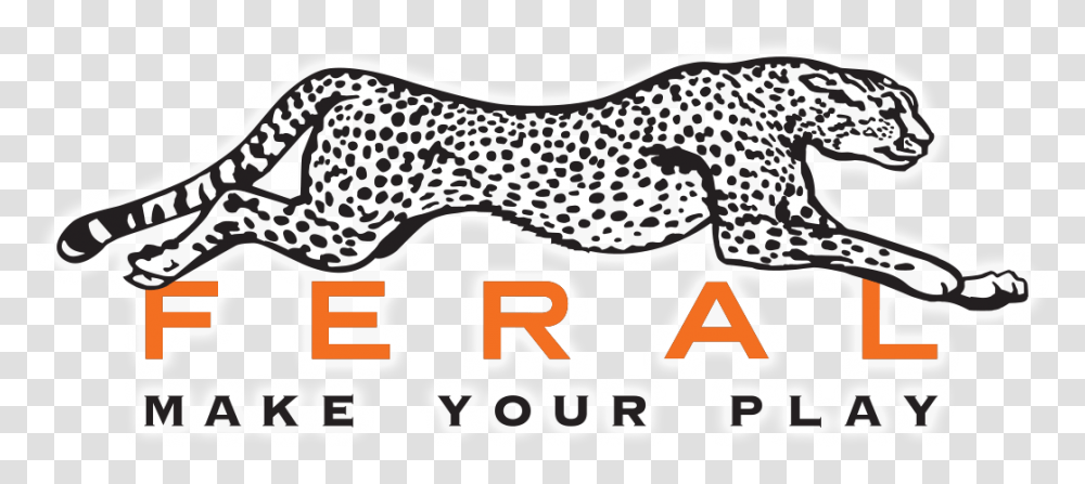 Cheetah, Wildlife, Mammal, Animal Transparent Png