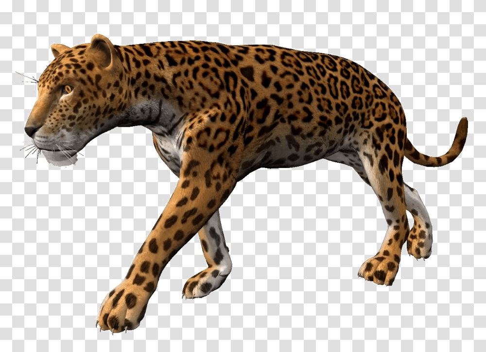 Cheetahpng Background Leopard Animation, Panther, Wildlife, Mammal, Animal Transparent Png