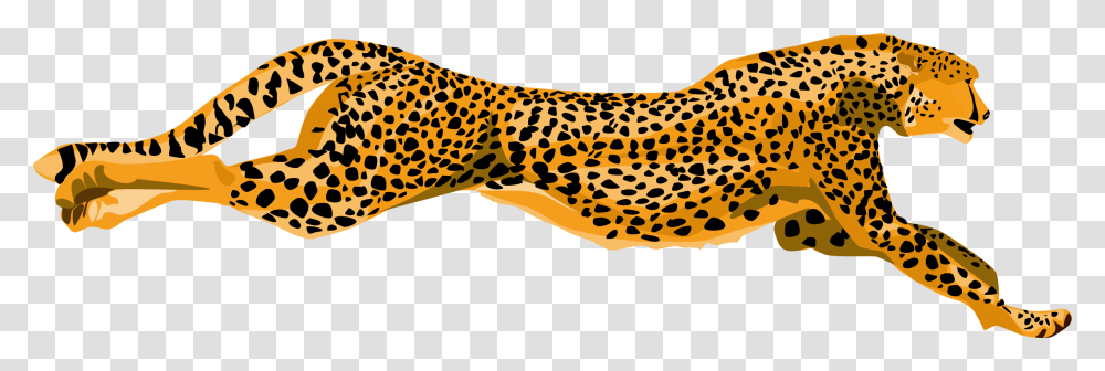 Cheetahs Clipart, Panther, Wildlife, Mammal, Animal Transparent Png