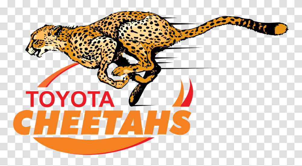 Cheetahs Rugby Logo, Wildlife, Mammal, Animal, Panther Transparent Png