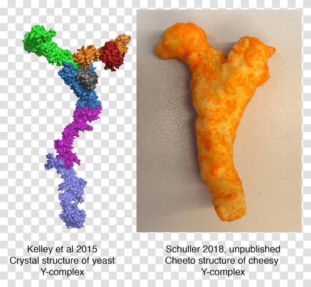 Cheetoscience Hashtag On Twitter Goldfish, Accessories, Accessory, Jewelry, Paper Transparent Png