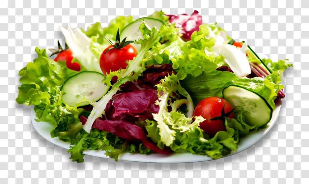 Chef Special Salad, Plant, Dish, Meal, Food Transparent Png