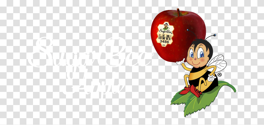 Chelan Fresh Sugarbee Apples Lake Sugarbee Apple, Plant, Fruit, Food, Text Transparent Png