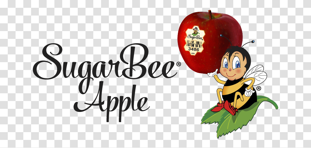Chelan Fresh Sugarbee Apples The Story Sugar Bee Apple Jpg, Plant, Fruit, Food, Text Transparent Png