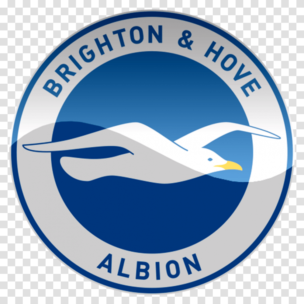 Chelsea Stars Olivier Giroud And Emerson Palmieri Wanted By Logo Brighton Hove Albion Hd, Seagull, Bird, Animal, Symbol Transparent Png