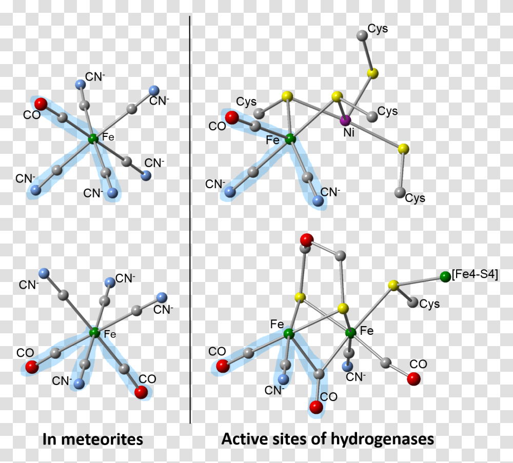 Chemical Diagrams Cyanide Compounds Found In Meteorites, Plot, Network, Accessories, Accessory Transparent Png