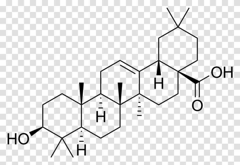 Chemical Structure Of Betulinic Acid, Network, Pattern Transparent Png