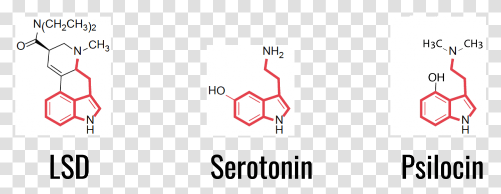 Chemical Structure Of Serotonin Lsd And Psilocin Molekula Lsd I Serotonina, Number, Plot Transparent Png
