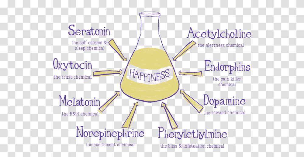 Chemicals Happinesschemicals Chemicals For Biochemical Happiness, Text, Flyer, Poster, Paper Transparent Png