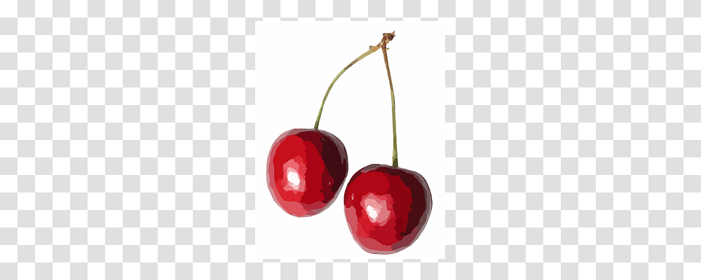 Cherries Plant, Fruit, Food, Cherry Transparent Png