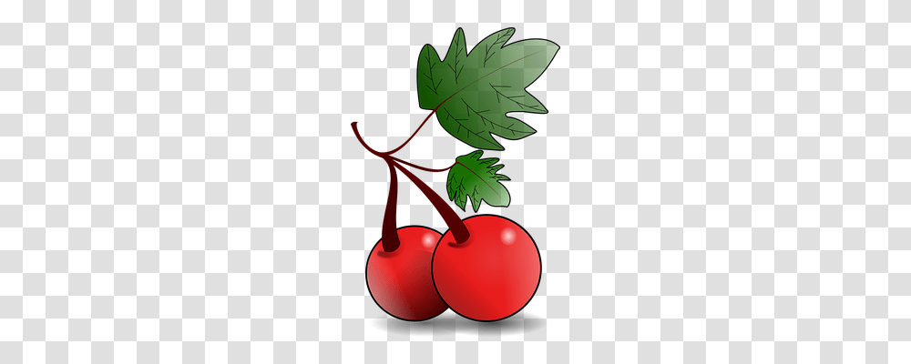 Cherries Nature, Plant, Fruit, Food Transparent Png